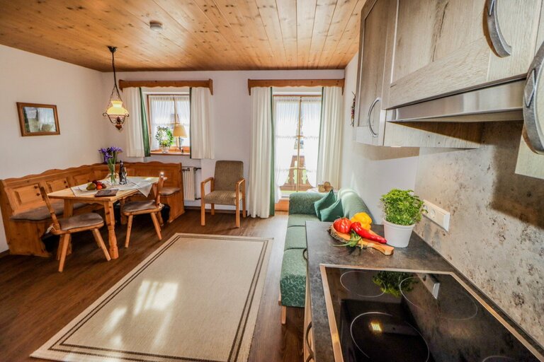 Wohnbereich mit Küche der Ferienwohnung Falkenstein